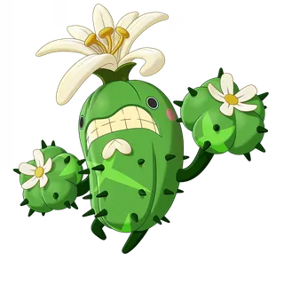 Bounbloom