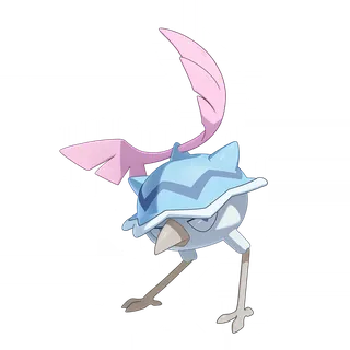 Sneersnipe