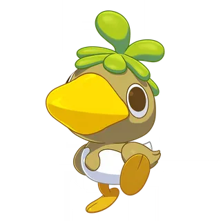 Grasscap Duck
