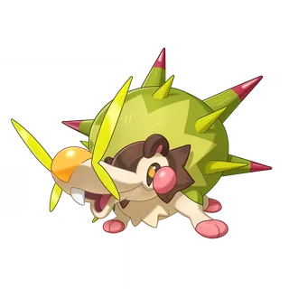 Shellchilla