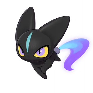 Little Black Cat