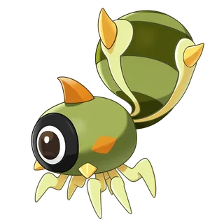 Roundeye Spider