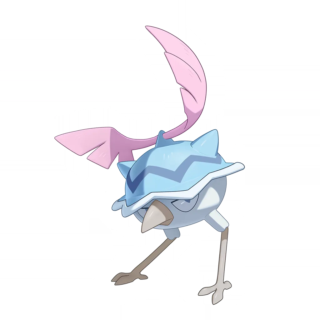 Sneersnipe