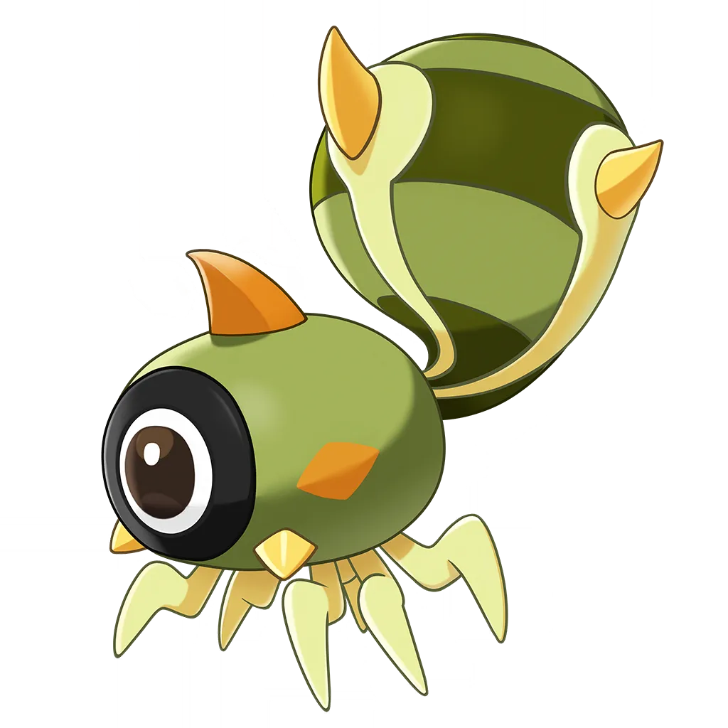 Roundeye Spider