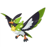 Galewing (Spring)