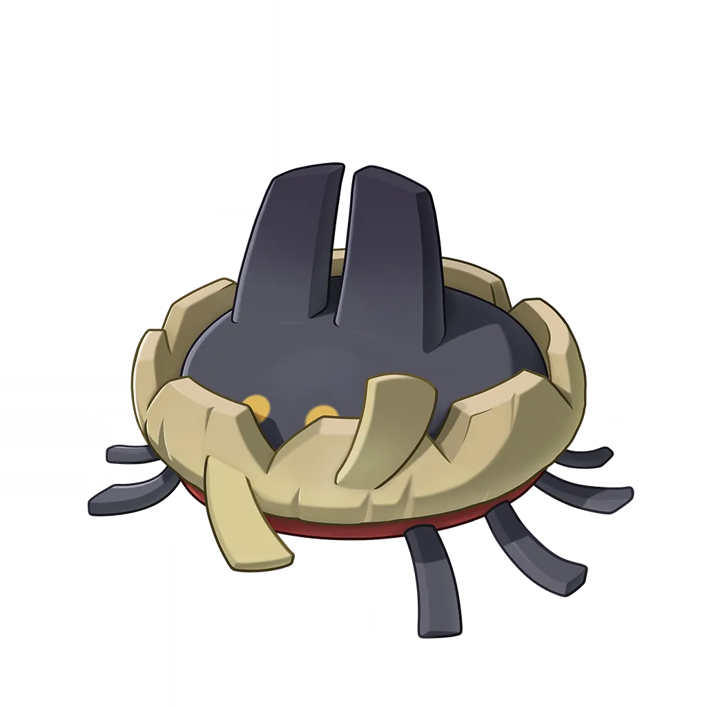 Fuzzspider